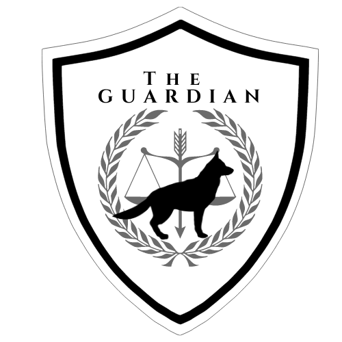 Logo TG 1